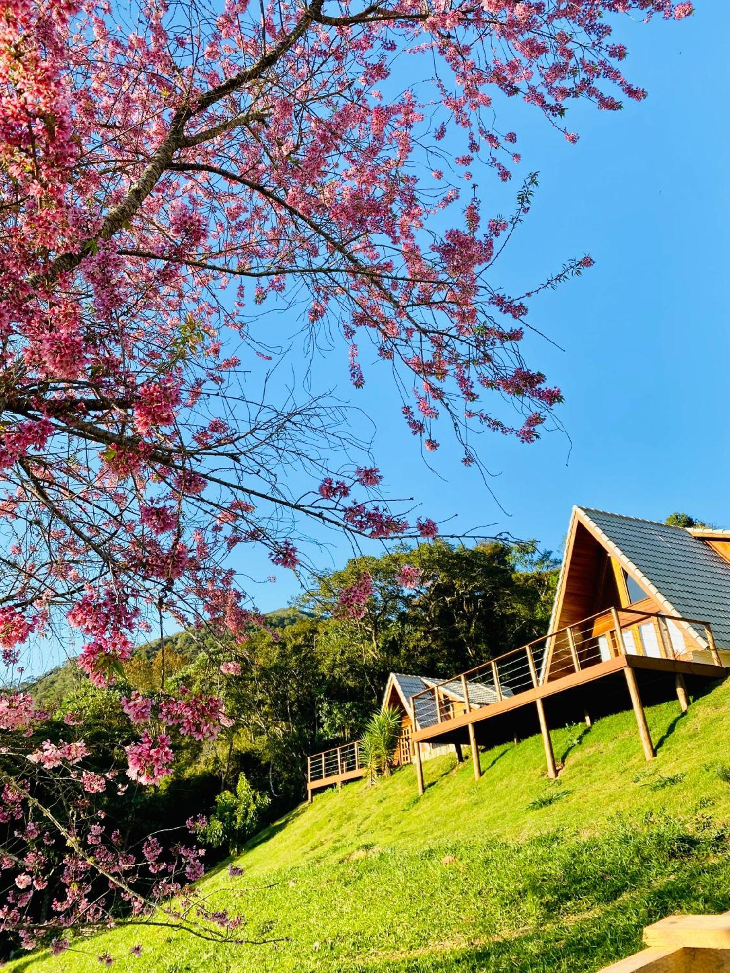 Chales Fazenda Floresta Das Araucarias Cunha Exterior photo
